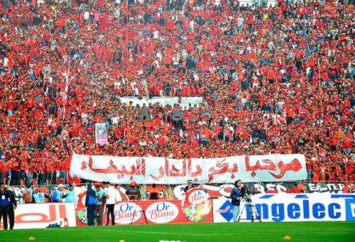 جماهير الوداد مرجع لصنداونز