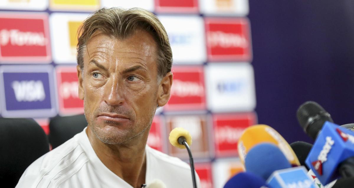 أول رد لرونار بعد إشاعة استقالته من تدريب المنتخب المغربي